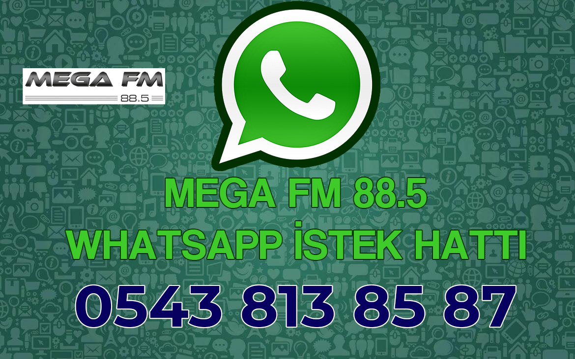 Mega Fm WhatsApp Эstek Hattэ